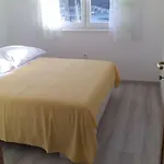 Apartamento Zaklopatica *